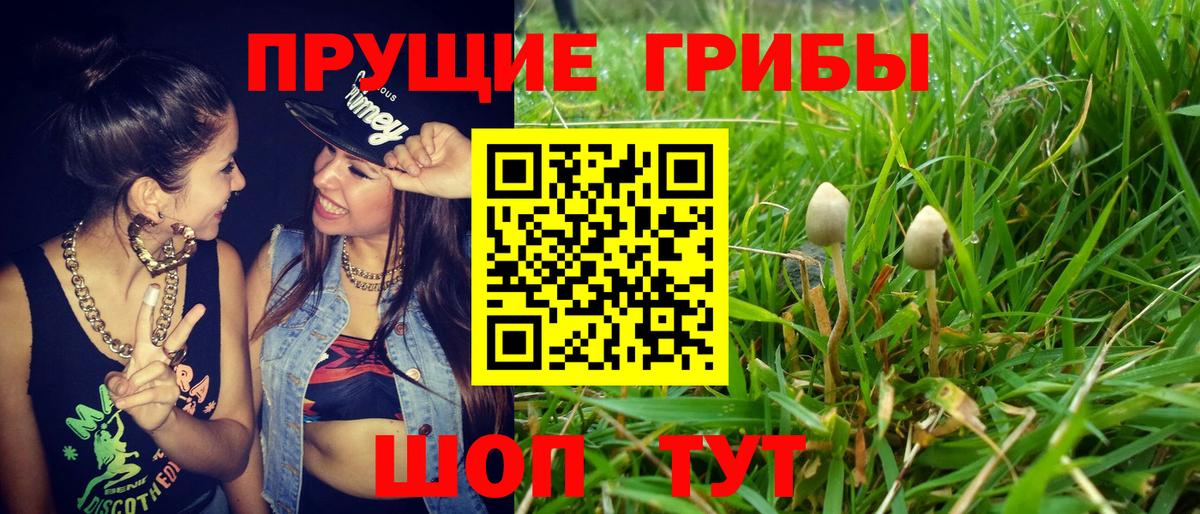 Лыткарино  Канабис  ЭКСТАЗИ  Вход с VPN  ГАШИШ  Меф кристаллы  Кокаин 