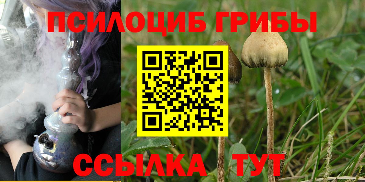 Псилоцибиновые грибы Psilocybe  Галлюциногенные грибы Psilocybine cubensis  Лыткарино  Вход с VPN 